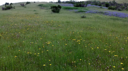 Photo taken at Fort Ord National Monument © 2016 Bruce Delgado. 